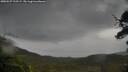./images/calvert/fitz-hugh-hecate/20250527/fitz-hugh-hecate20250527_110509M.jpg
