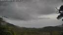 ./images/calvert/fitz-hugh-hecate/20250527/fitz-hugh-hecate20250527_111010M.jpg
