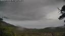 ./images/calvert/fitz-hugh-hecate/20250527/fitz-hugh-hecate20250527_111509M.jpg