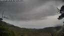 ./images/calvert/fitz-hugh-hecate/20250527/fitz-hugh-hecate20250527_112508M.jpg
