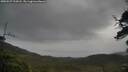 ./images/calvert/fitz-hugh-hecate/20250527/fitz-hugh-hecate20250527_113008M.jpg