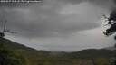 ./images/calvert/fitz-hugh-hecate/20250527/fitz-hugh-hecate20250527_113508M.jpg