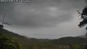 ./images/calvert/fitz-hugh-hecate/20250527/fitz-hugh-hecate20250527_114008M.jpg
