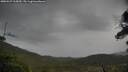 ./images/calvert/fitz-hugh-hecate/20250527/fitz-hugh-hecate20250527_115010M.jpg