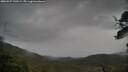 ./images/calvert/fitz-hugh-hecate/20250527/fitz-hugh-hecate20250527_120509M.jpg