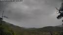 ./images/calvert/fitz-hugh-hecate/20250527/fitz-hugh-hecate20250527_121510M.jpg