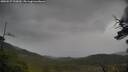 ./images/calvert/fitz-hugh-hecate/20250527/fitz-hugh-hecate20250527_122010M.jpg