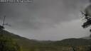 ./images/calvert/fitz-hugh-hecate/20250527/fitz-hugh-hecate20250527_122506M.jpg