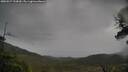 ./images/calvert/fitz-hugh-hecate/20250527/fitz-hugh-hecate20250527_123010M.jpg