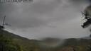 ./images/calvert/fitz-hugh-hecate/20250527/fitz-hugh-hecate20250527_123509M.jpg