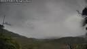 ./images/calvert/fitz-hugh-hecate/20250527/fitz-hugh-hecate20250527_124010M.jpg