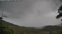 ./images/calvert/fitz-hugh-hecate/20250527/fitz-hugh-hecate20250527_124510M.jpg
