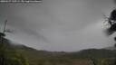 ./images/calvert/fitz-hugh-hecate/20250527/fitz-hugh-hecate20250527_125509M.jpg