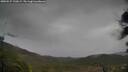 ./images/calvert/fitz-hugh-hecate/20250527/fitz-hugh-hecate20250527_130010M.jpg