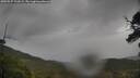./images/calvert/fitz-hugh-hecate/20250527/fitz-hugh-hecate20250527_131009M.jpg