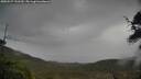 ./images/calvert/fitz-hugh-hecate/20250527/fitz-hugh-hecate20250527_131510M.jpg