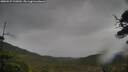 ./images/calvert/fitz-hugh-hecate/20250527/fitz-hugh-hecate20250527_132010M.jpg