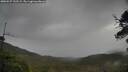 ./images/calvert/fitz-hugh-hecate/20250527/fitz-hugh-hecate20250527_132509M.jpg