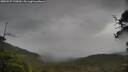 ./images/calvert/fitz-hugh-hecate/20250527/fitz-hugh-hecate20250527_133010M.jpg