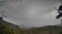 ./images/calvert/fitz-hugh-hecate/20250527/fitz-hugh-hecate20250527_133508M.jpg