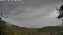 ./images/calvert/fitz-hugh-hecate/20250527/fitz-hugh-hecate20250527_134510M.jpg