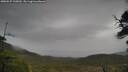 ./images/calvert/fitz-hugh-hecate/20250527/fitz-hugh-hecate20250527_135010M.jpg