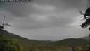./images/calvert/fitz-hugh-hecate/20250527/fitz-hugh-hecate20250527_135508M.jpg