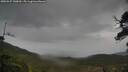 ./images/calvert/fitz-hugh-hecate/20250527/fitz-hugh-hecate20250527_140010M.jpg
