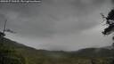 ./images/calvert/fitz-hugh-hecate/20250527/fitz-hugh-hecate20250527_140509M.jpg