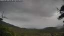 ./images/calvert/fitz-hugh-hecate/20250527/fitz-hugh-hecate20250527_141009M.jpg
