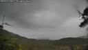 ./images/calvert/fitz-hugh-hecate/20250527/fitz-hugh-hecate20250527_142007M.jpg