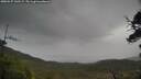 ./images/calvert/fitz-hugh-hecate/20250527/fitz-hugh-hecate20250527_142509M.jpg