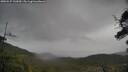./images/calvert/fitz-hugh-hecate/20250527/fitz-hugh-hecate20250527_143010M.jpg