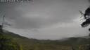 ./images/calvert/fitz-hugh-hecate/20250527/fitz-hugh-hecate20250527_143510M.jpg