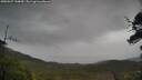 ./images/calvert/fitz-hugh-hecate/20250527/fitz-hugh-hecate20250527_144010M.jpg