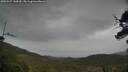./images/calvert/fitz-hugh-hecate/20250527/fitz-hugh-hecate20250527_144509M.jpg