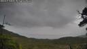 ./images/calvert/fitz-hugh-hecate/20250527/fitz-hugh-hecate20250527_145010M.jpg