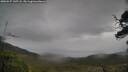 ./images/calvert/fitz-hugh-hecate/20250527/fitz-hugh-hecate20250527_145507M.jpg