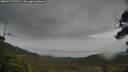 ./images/calvert/fitz-hugh-hecate/20250527/fitz-hugh-hecate20250527_150506M.jpg