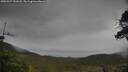 ./images/calvert/fitz-hugh-hecate/20250527/fitz-hugh-hecate20250527_151008M.jpg