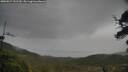 ./images/calvert/fitz-hugh-hecate/20250527/fitz-hugh-hecate20250527_151510M.jpg