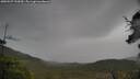 ./images/calvert/fitz-hugh-hecate/20250527/fitz-hugh-hecate20250527_152010M.jpg