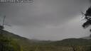 ./images/calvert/fitz-hugh-hecate/20250527/fitz-hugh-hecate20250527_153010M.jpg
