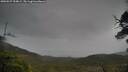 ./images/calvert/fitz-hugh-hecate/20250527/fitz-hugh-hecate20250527_154009M.jpg