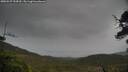 ./images/calvert/fitz-hugh-hecate/20250527/fitz-hugh-hecate20250527_154510M.jpg