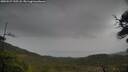 ./images/calvert/fitz-hugh-hecate/20250527/fitz-hugh-hecate20250527_155508M.jpg