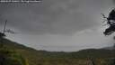 ./images/calvert/fitz-hugh-hecate/20250527/fitz-hugh-hecate20250527_160010M.jpg