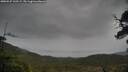 ./images/calvert/fitz-hugh-hecate/20250527/fitz-hugh-hecate20250527_160509M.jpg