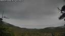 ./images/calvert/fitz-hugh-hecate/20250527/fitz-hugh-hecate20250527_161010M.jpg