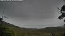 ./images/calvert/fitz-hugh-hecate/20250527/fitz-hugh-hecate20250527_161510M.jpg